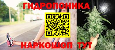дмт Бузулук
