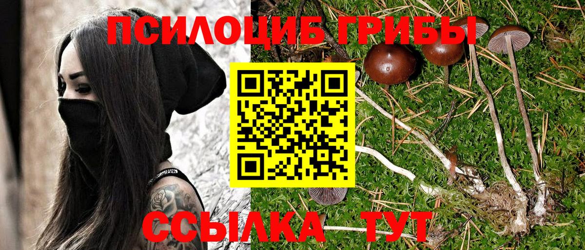Галлюциногенные грибы мицелий  Галлюциногенные грибы Psilocybe  Вход с VPN  Ростов-на-Дону 