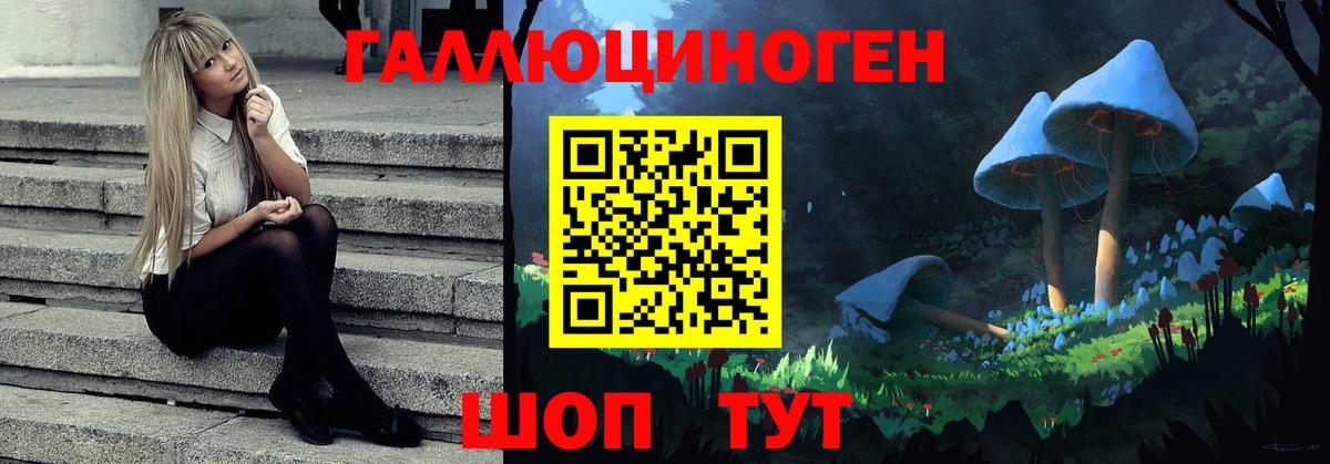 Псилоцибиновые грибы Cubensis Ростов-на-Дону